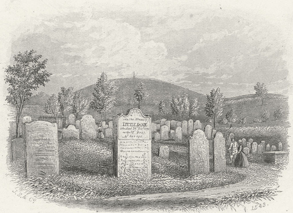 IOW. Little Jane's grave c1850 old antique vintage print picture